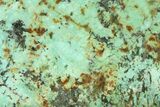 Bright Blue Apatite (Fluorapatite) Slab - Madagascar #338141-1